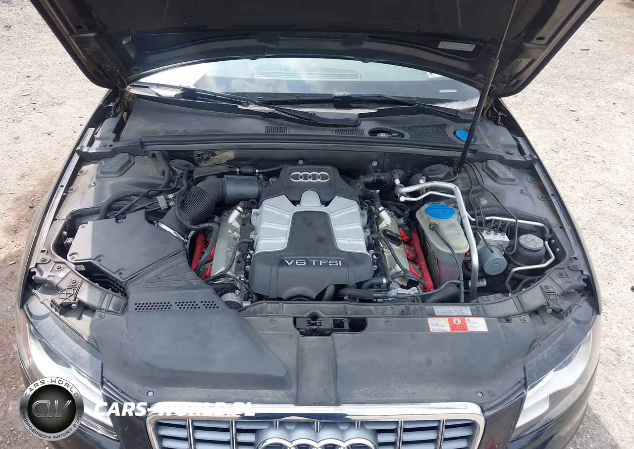 2010 Audi S4 3.0 Premium Plus VIN:WAUBGAFLXAA019952 - 10