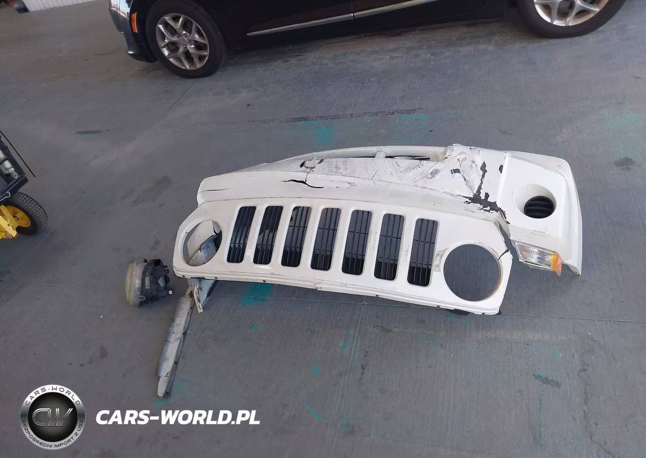 2009 Jeep Patriot Sport VIN:1J4FT28B69D122879 - 12