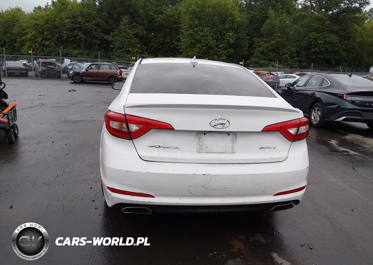 2015 Hyundai Sonata Sport VIN:5NPE34AF1FH085854 - 16