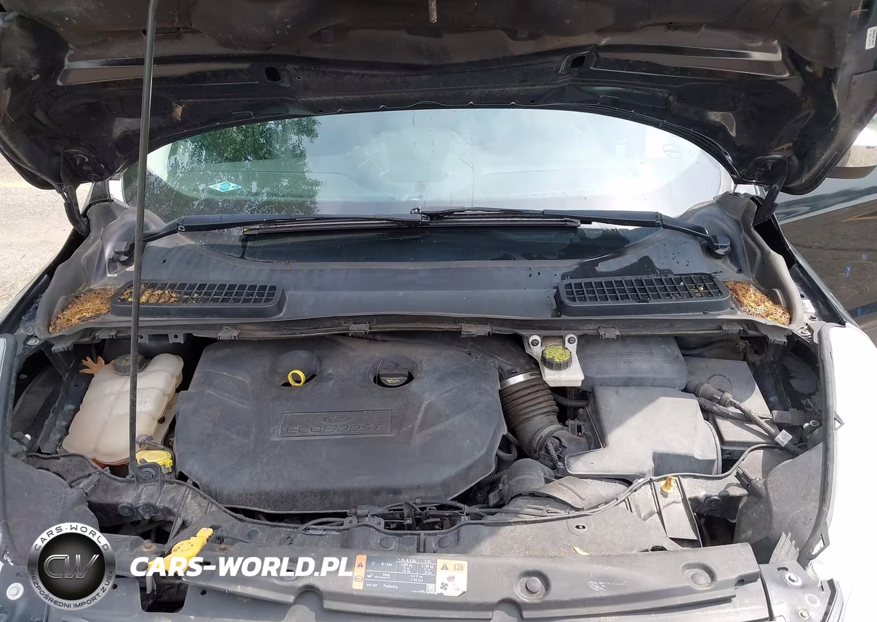 2015 Ford Escape Se VIN:1FMCU9G98FUC09073 - 10