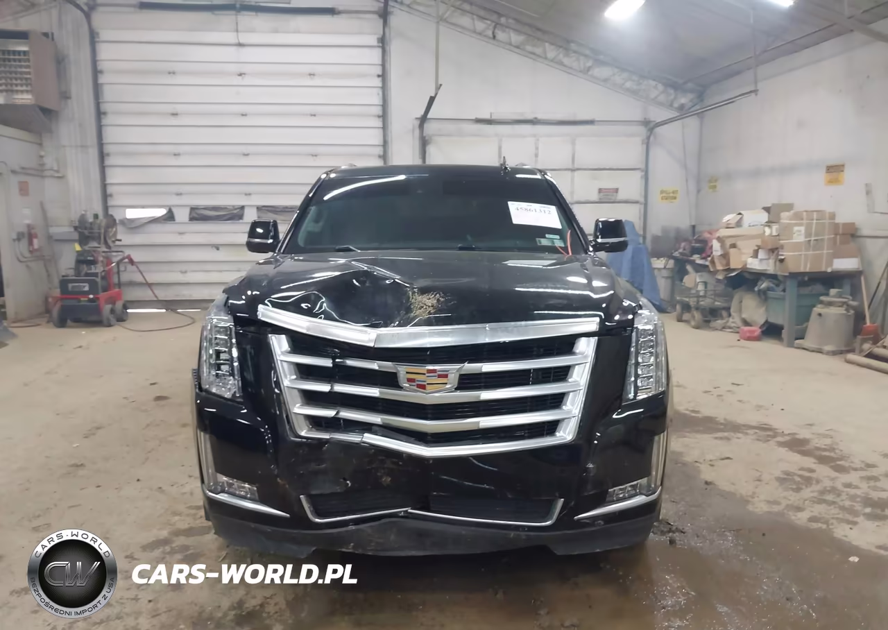2016 Cadillac Escalade Luxury Collection VIN:1GYS4BKJ3GR182226 - 12