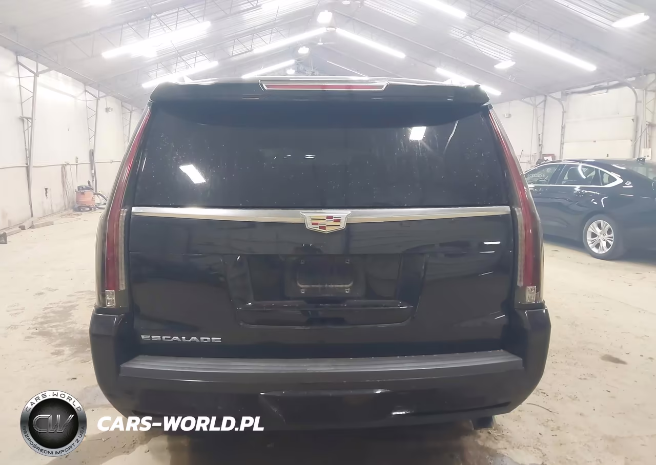 2016 Cadillac Escalade Luxury Collection VIN:1GYS4BKJ3GR182226 - 16