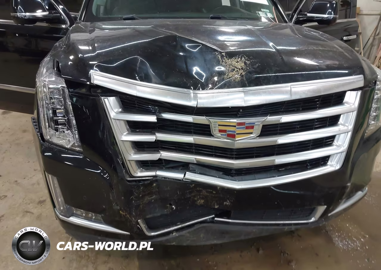 2016 Cadillac Escalade Luxury Collection VIN:1GYS4BKJ3GR182226 - 6