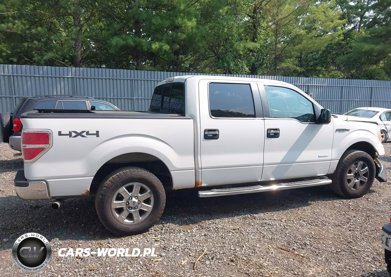 2014 Ford F-150 Xlt VIN:1FTFW1ET7EFC74673 - 13