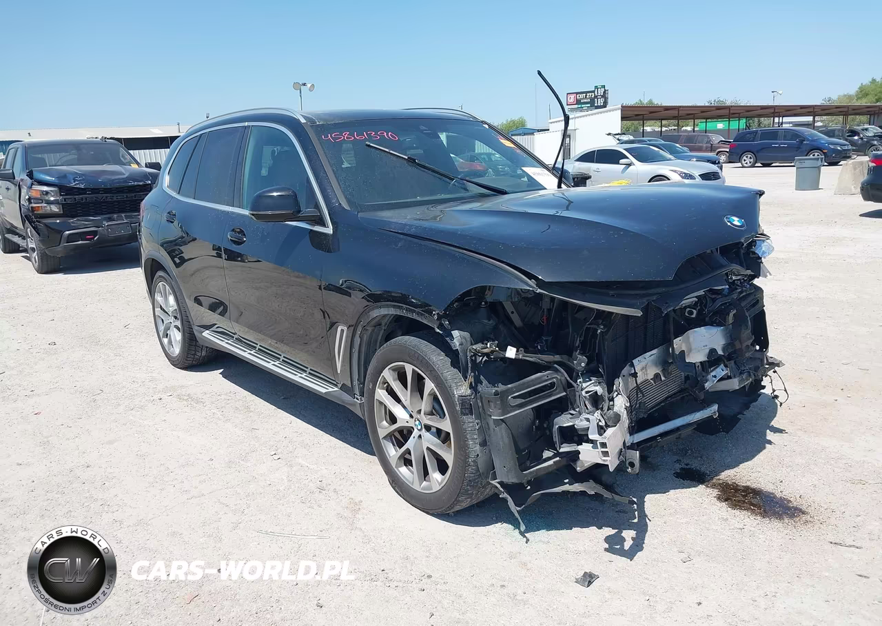 2023 BMW X5 Sdrive40I VIN:5UXCR4C06P9R55413 - 1