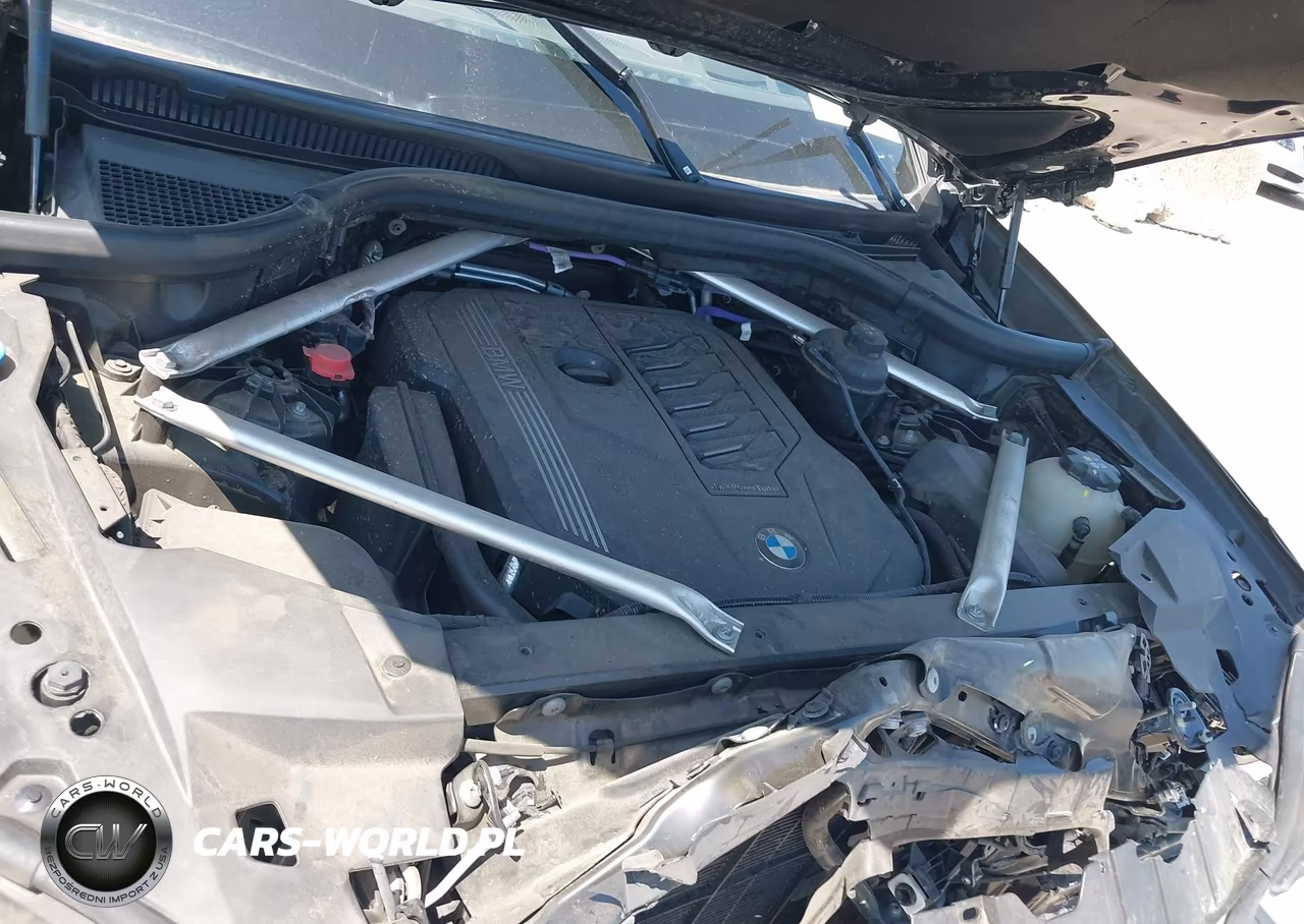 2023 BMW X5 Sdrive40I VIN:5UXCR4C06P9R55413 - 10