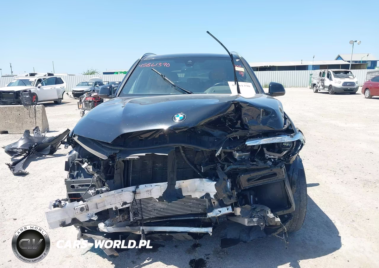 2023 BMW X5 Sdrive40I VIN:5UXCR4C06P9R55413 - 12
