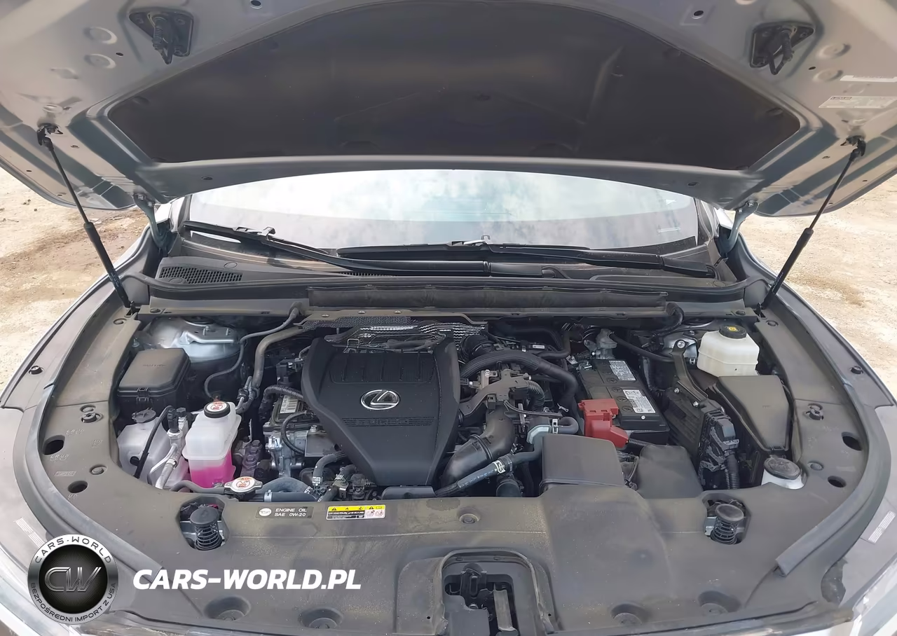 2025 Lexus Rx 350 Premium VIN:2T2BAMBA4SC057941 - 10