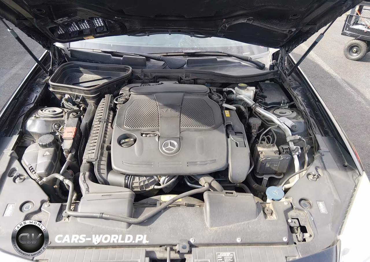 2013 Mercedes-Benz Slk 350 VIN:WDDPK5HA1DF067640 - 10