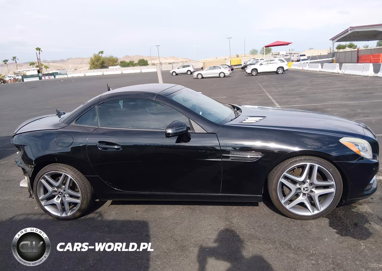 2013 Mercedes-Benz Slk 350 VIN:WDDPK5HA1DF067640 - 13