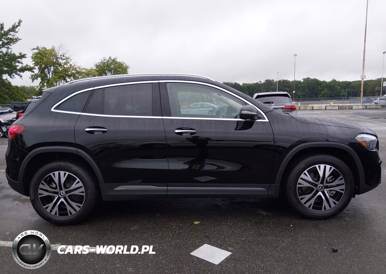 2025 Mercedes-Benz Gla 250 4Matic VIN:W1N4N4HB8SJ704078 - 13