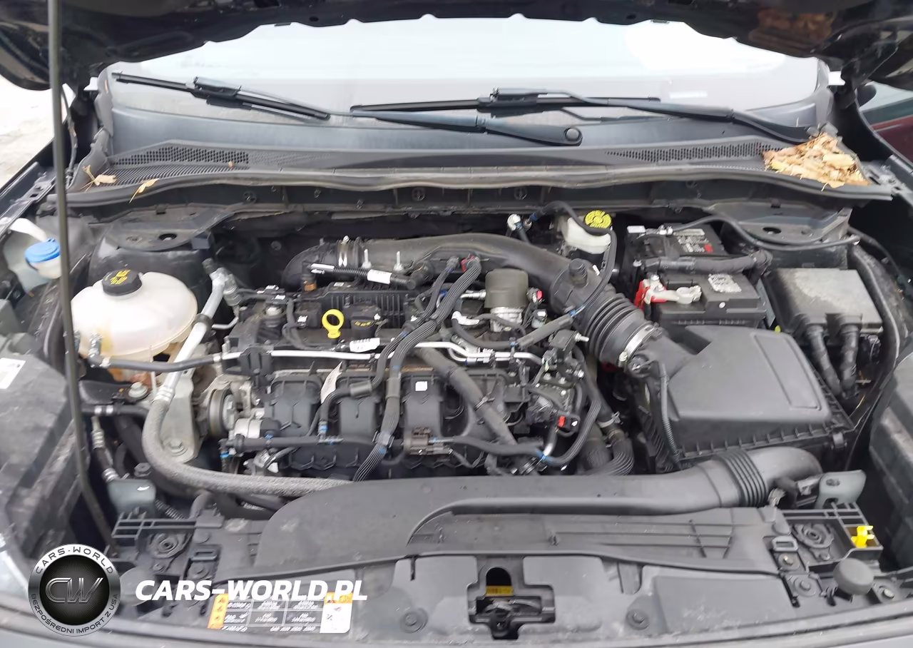 2021 Ford Escape Titanium VIN:1FMCU9J98MUA70262 - 10