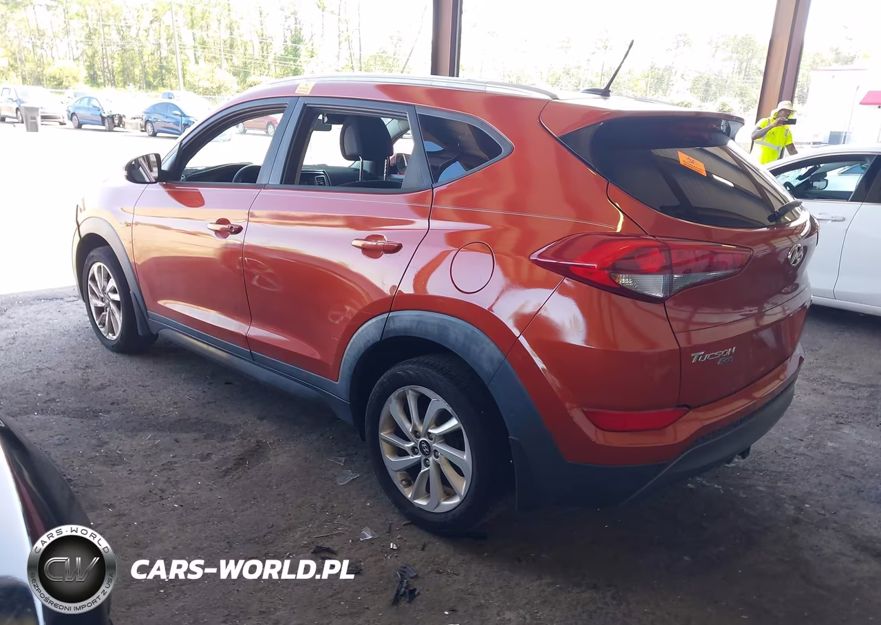 2016 Hyundai Tucson Eco VIN:KM8J33A2XGU062761 - 3