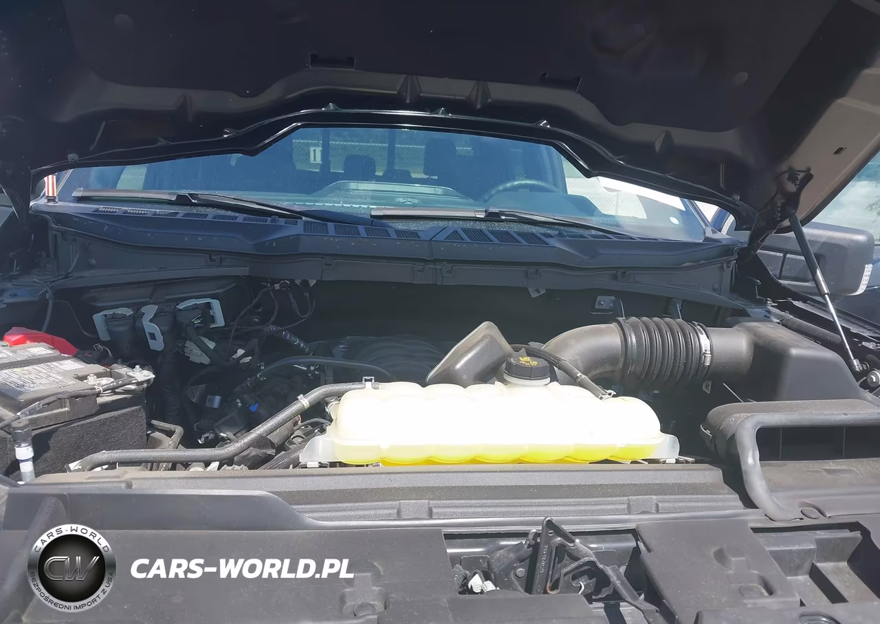 2025 Ford F-150 Xlt VIN:1FTFW3L54SFB79502 - 10