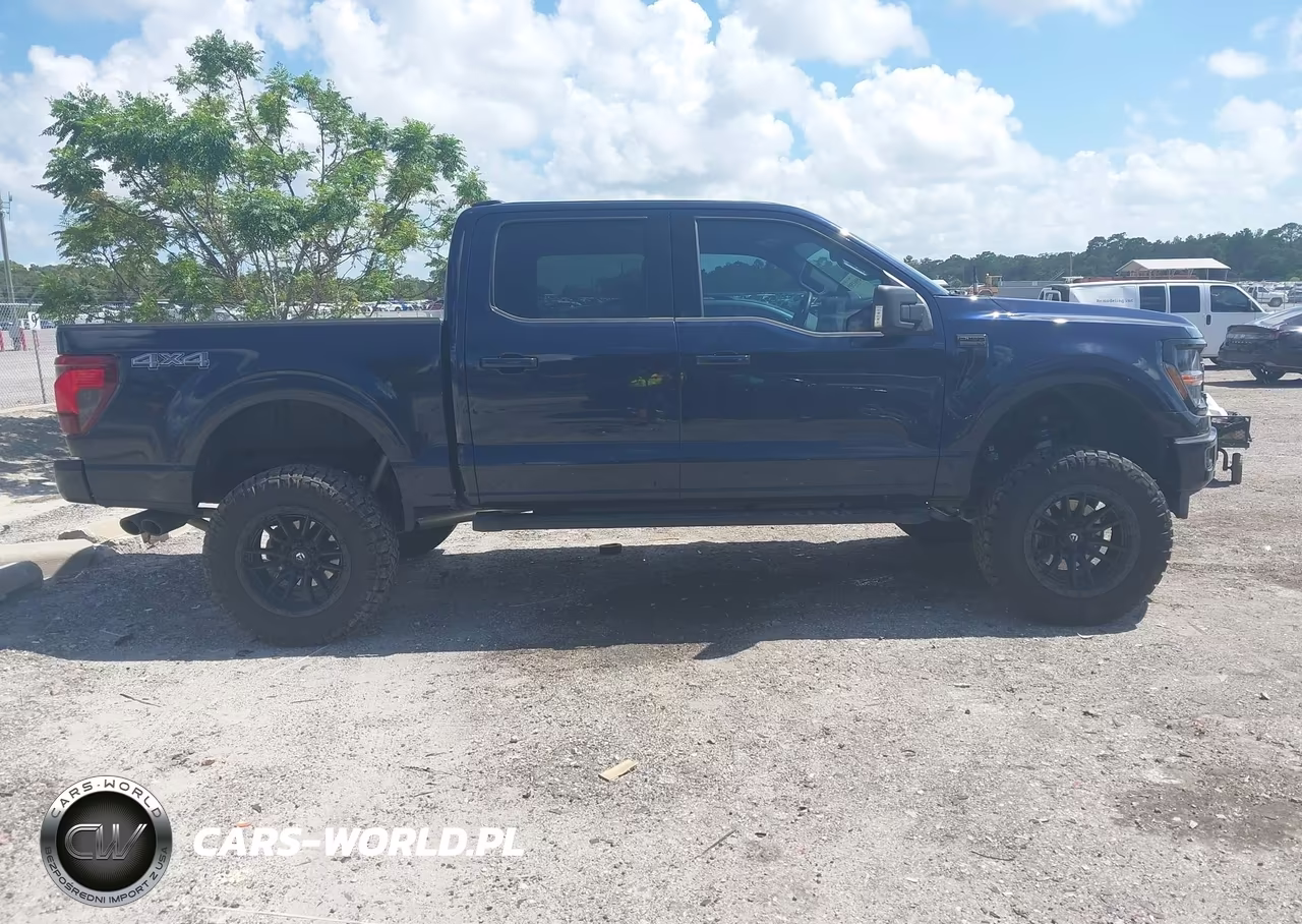 2025 Ford F-150 Xlt VIN:1FTFW3L54SFB79502 - 13