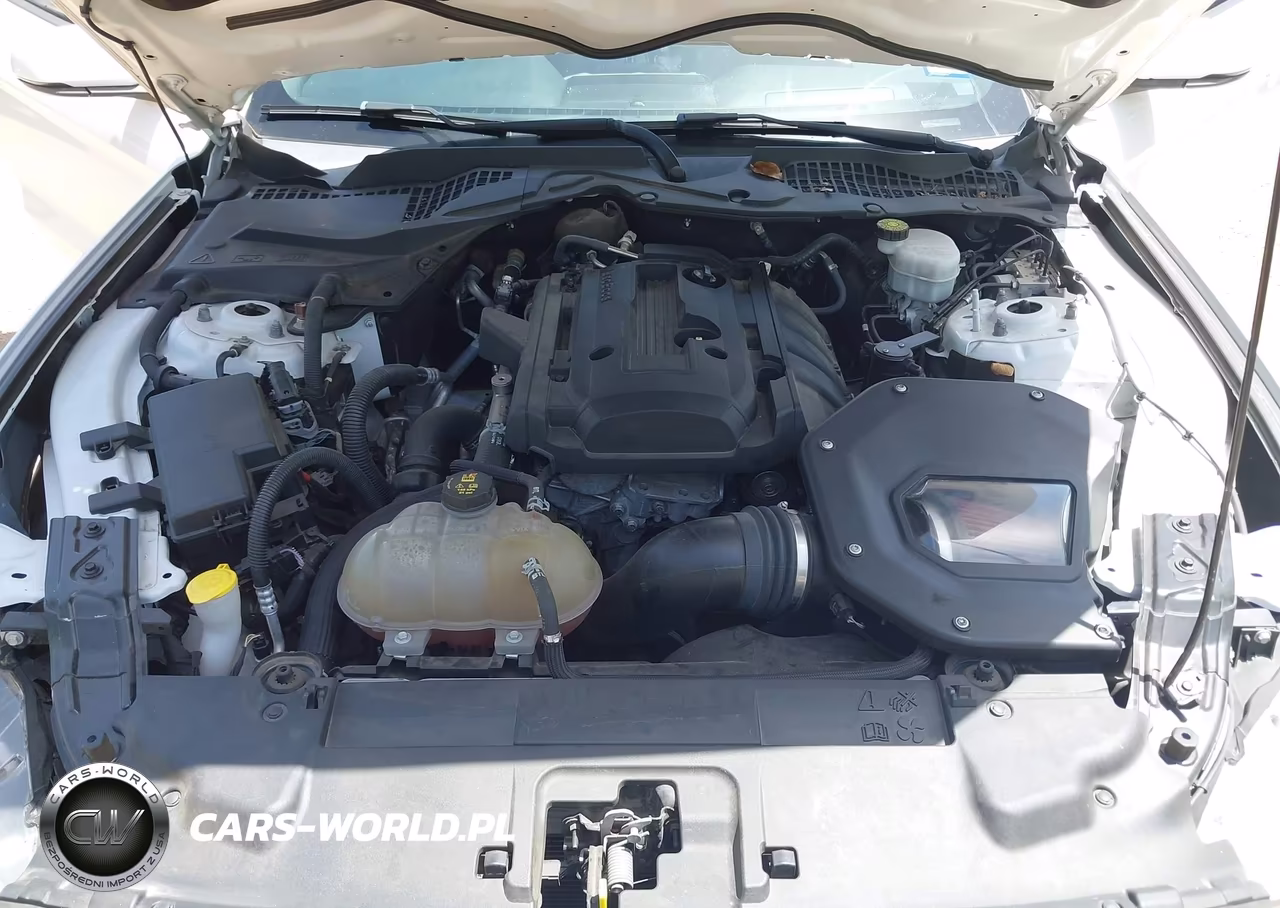2019 Ford Mustang Ecoboost Premium VIN:1FA6P8TH7K5186458 - 10