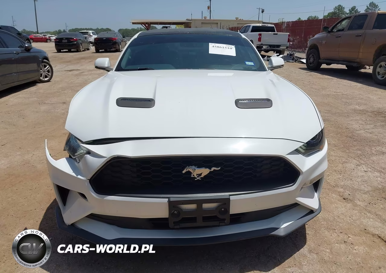 2019 Ford Mustang Ecoboost Premium VIN:1FA6P8TH7K5186458 - 12