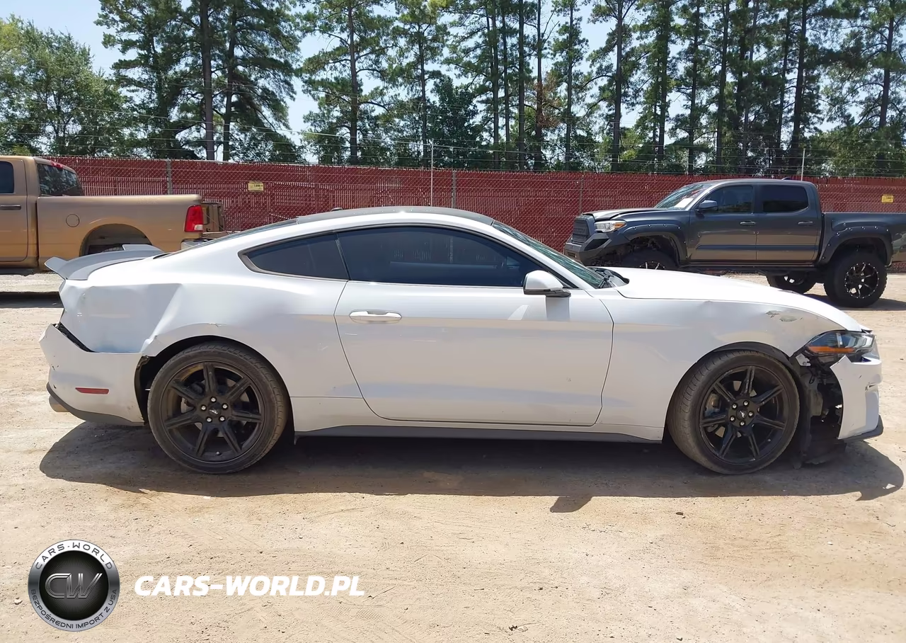 2019 Ford Mustang Ecoboost Premium VIN:1FA6P8TH7K5186458 - 13