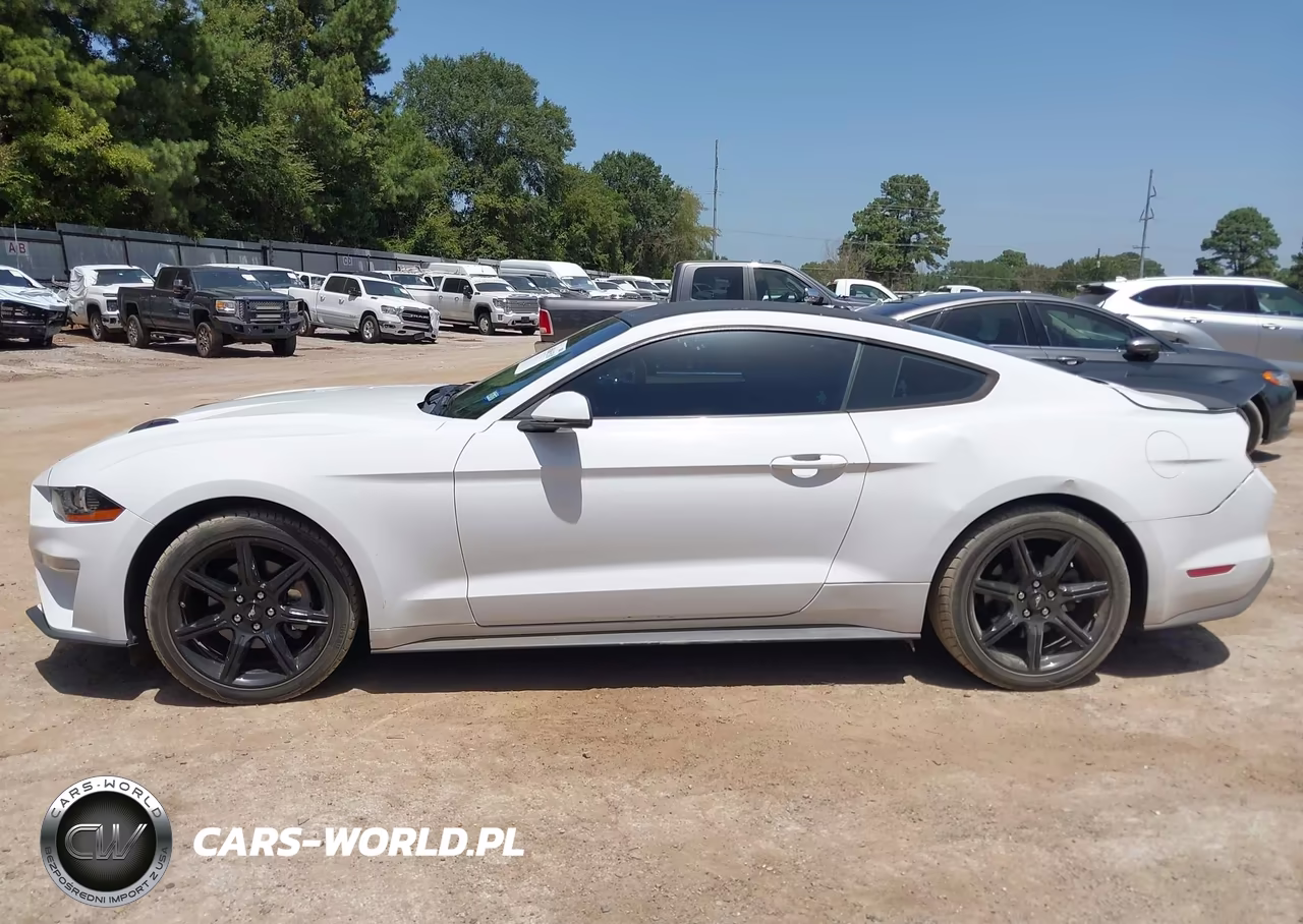 2019 Ford Mustang Ecoboost Premium VIN:1FA6P8TH7K5186458 - 14
