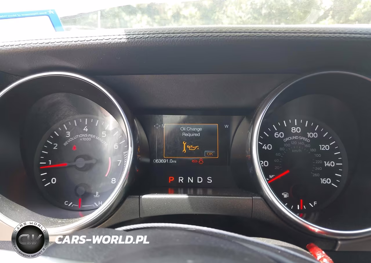 2019 Ford Mustang Ecoboost Premium VIN:1FA6P8TH7K5186458 - 15