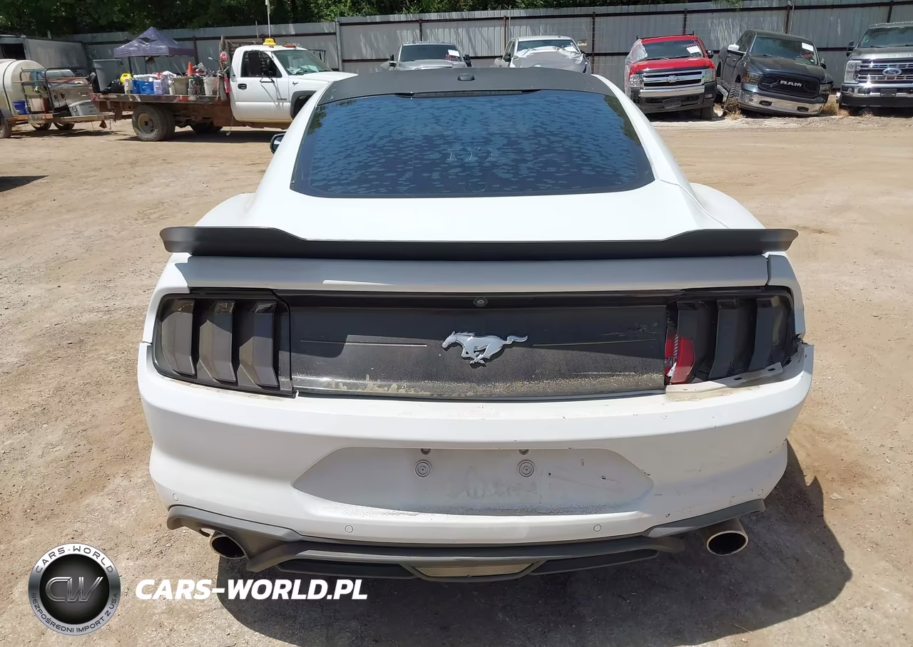 2019 Ford Mustang Ecoboost Premium VIN:1FA6P8TH7K5186458 - 16