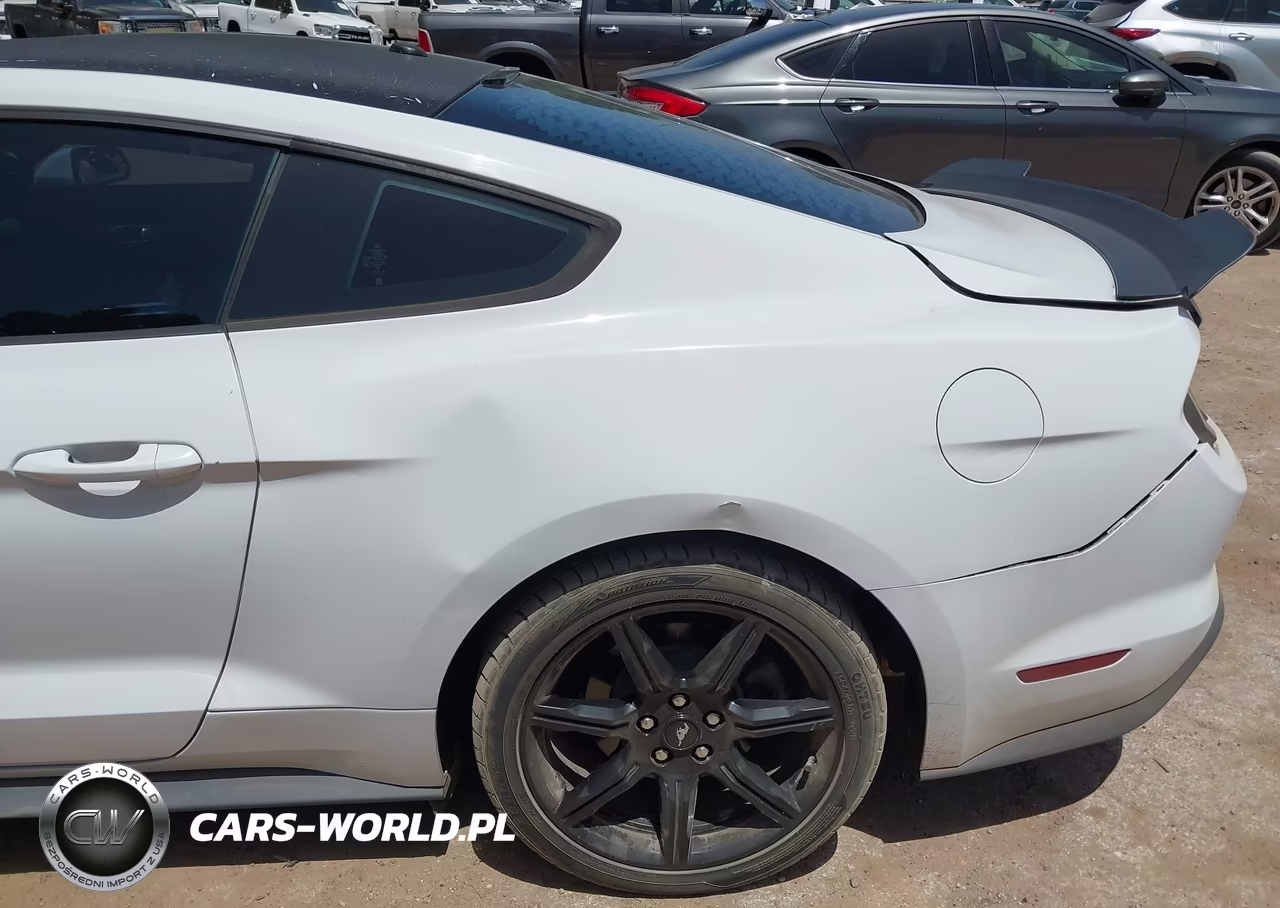 2019 Ford Mustang Ecoboost Premium VIN:1FA6P8TH7K5186458 - 17