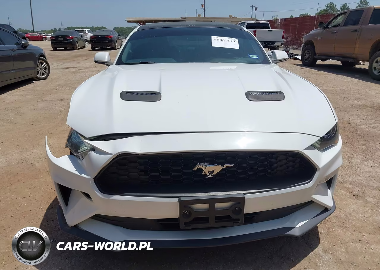2019 Ford Mustang Ecoboost Premium VIN:1FA6P8TH7K5186458 - 18