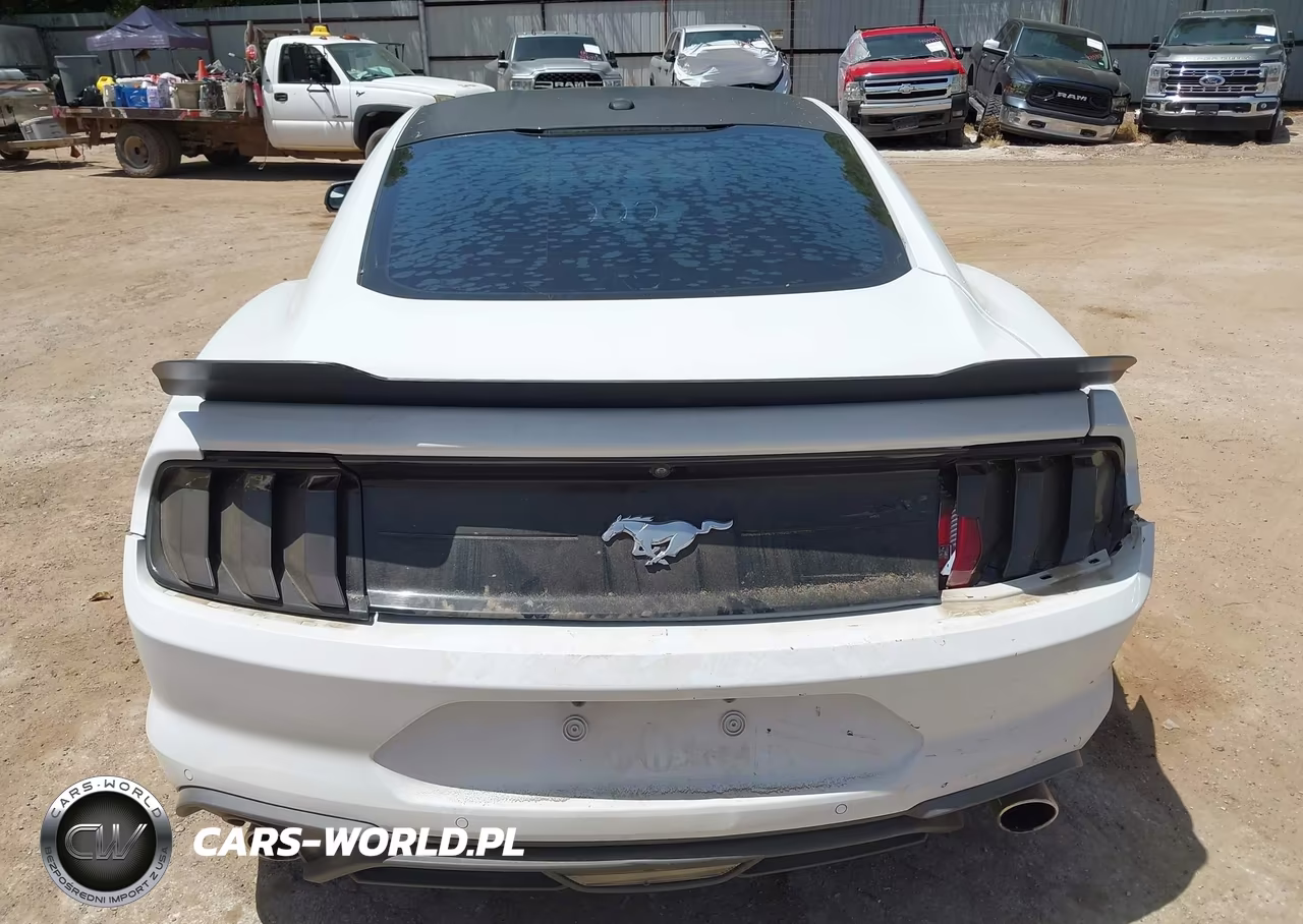 2019 Ford Mustang Ecoboost Premium VIN:1FA6P8TH7K5186458 - 19