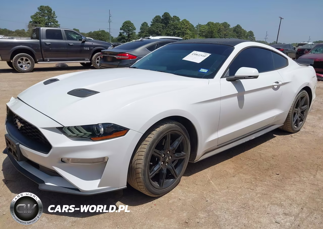 2019 Ford Mustang Ecoboost Premium VIN:1FA6P8TH7K5186458 - 2
