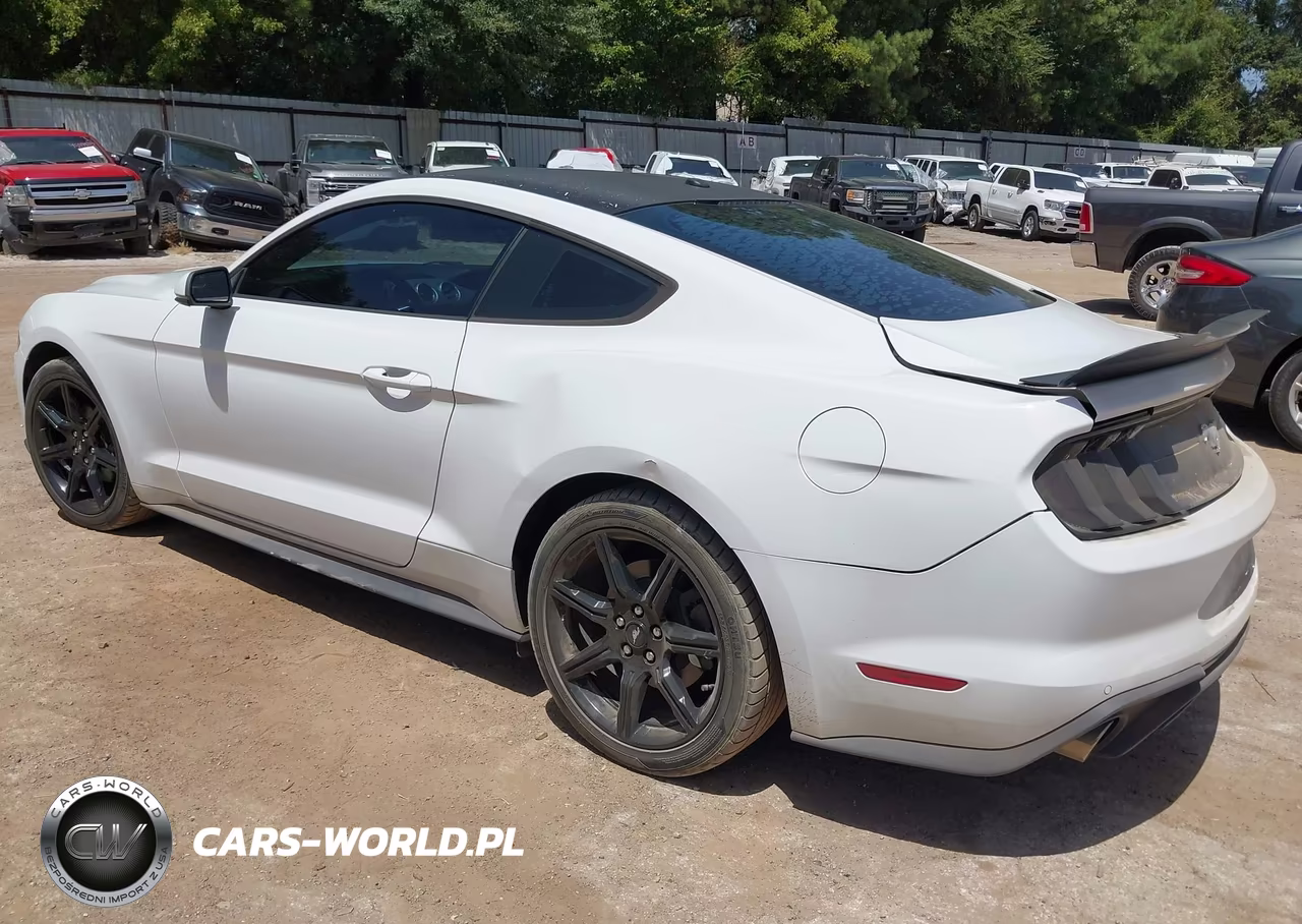 2019 Ford Mustang Ecoboost Premium VIN:1FA6P8TH7K5186458 - 3