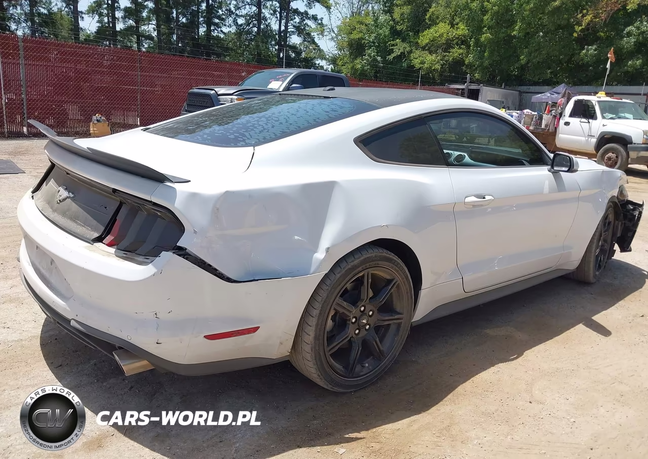 2019 Ford Mustang Ecoboost Premium VIN:1FA6P8TH7K5186458 - 4