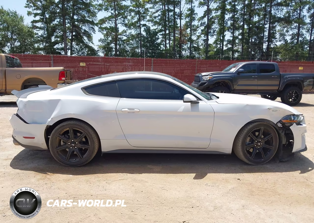 2019 Ford Mustang Ecoboost Premium VIN:1FA6P8TH7K5186458 - 6
