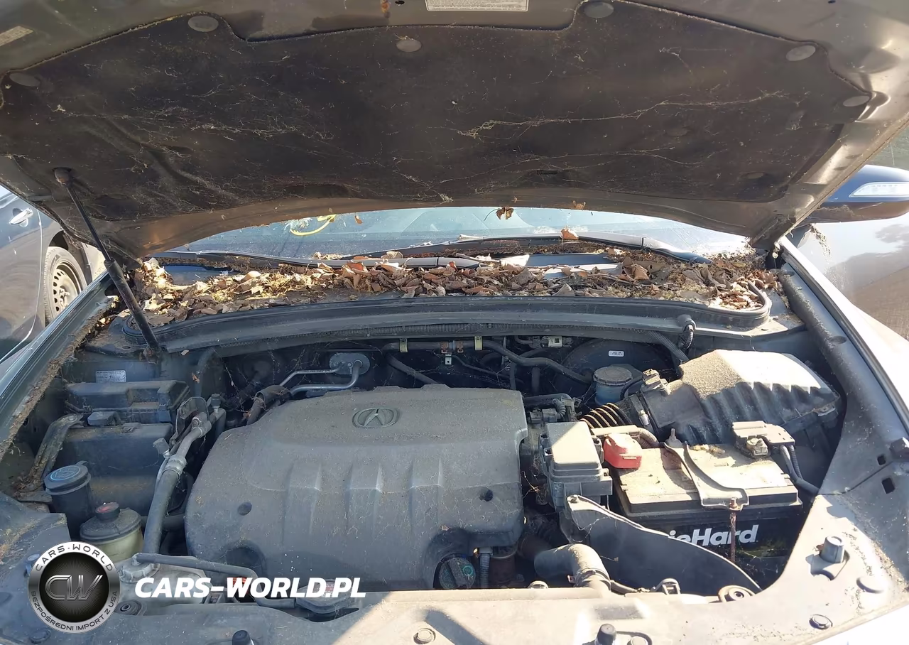 2010 Acura Zdx VIN:2HNYB1H40AH503612 - 10