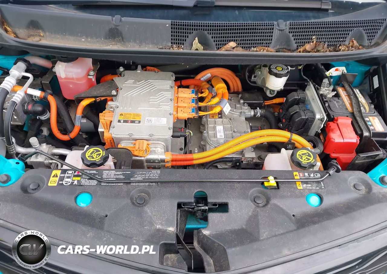 2020 Chevrolet Bolt Ev Fwd Premier VIN:1G1FZ6S03L4147600 - 10
