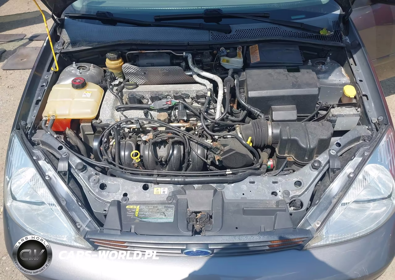 2004 Ford Focus Zts VIN:1FAFP38Z54W117849 - 10