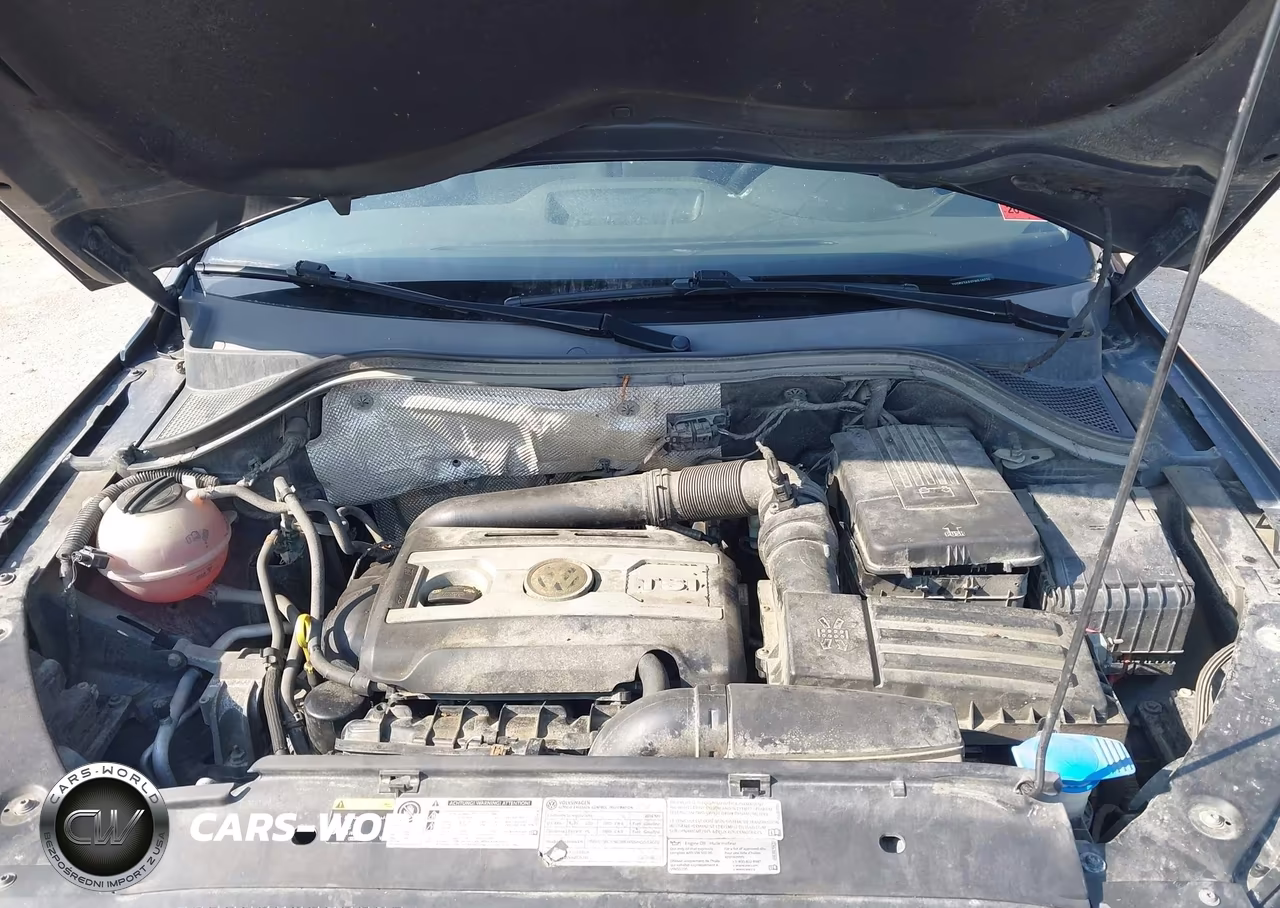 2014 Volkswagen Tiguan S VIN:WVGBV3AXXEW518270 - 10
