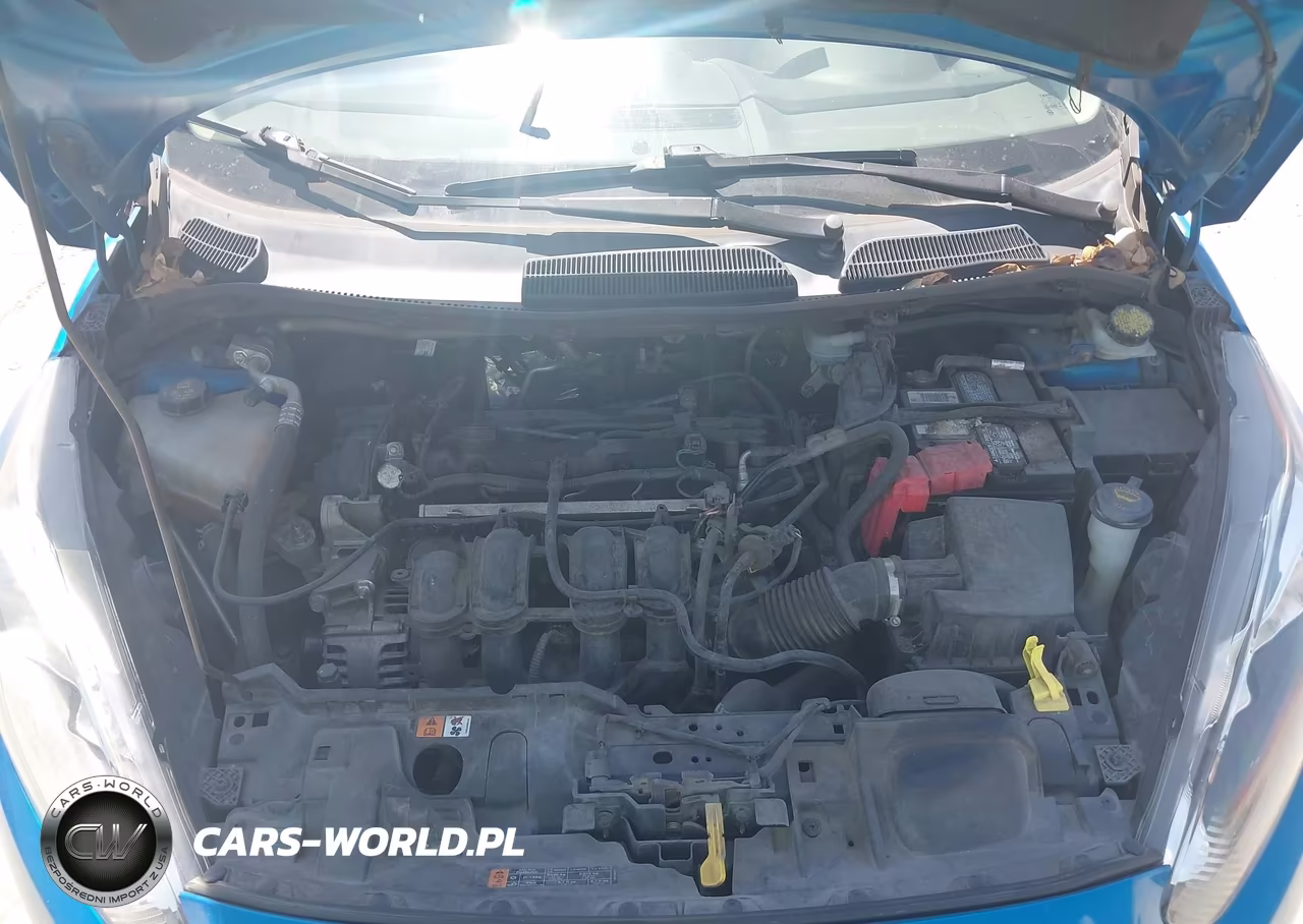 2015 Ford Fiesta Se VIN:3FADP4BJ5FM224614 - 10