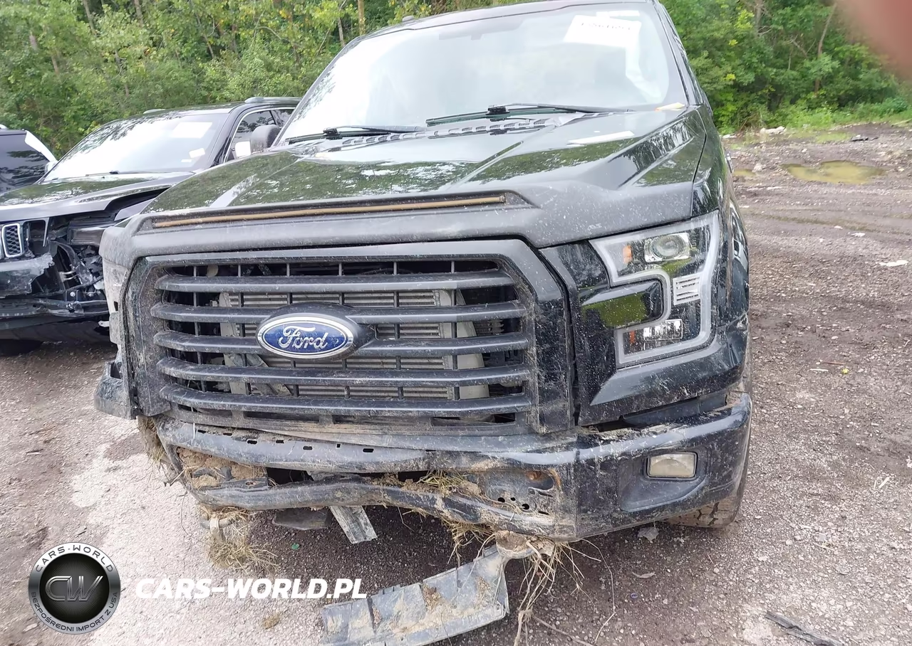2017 Ford F-150 Xl VIN:1FTEW1EG7HKC95629 - 12