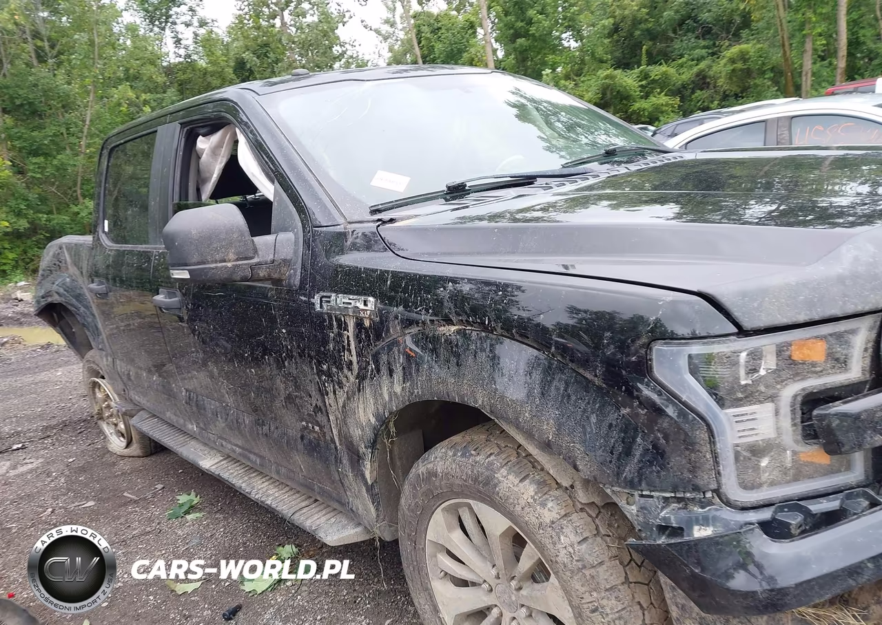 2017 Ford F-150 Xl VIN:1FTEW1EG7HKC95629 - 13