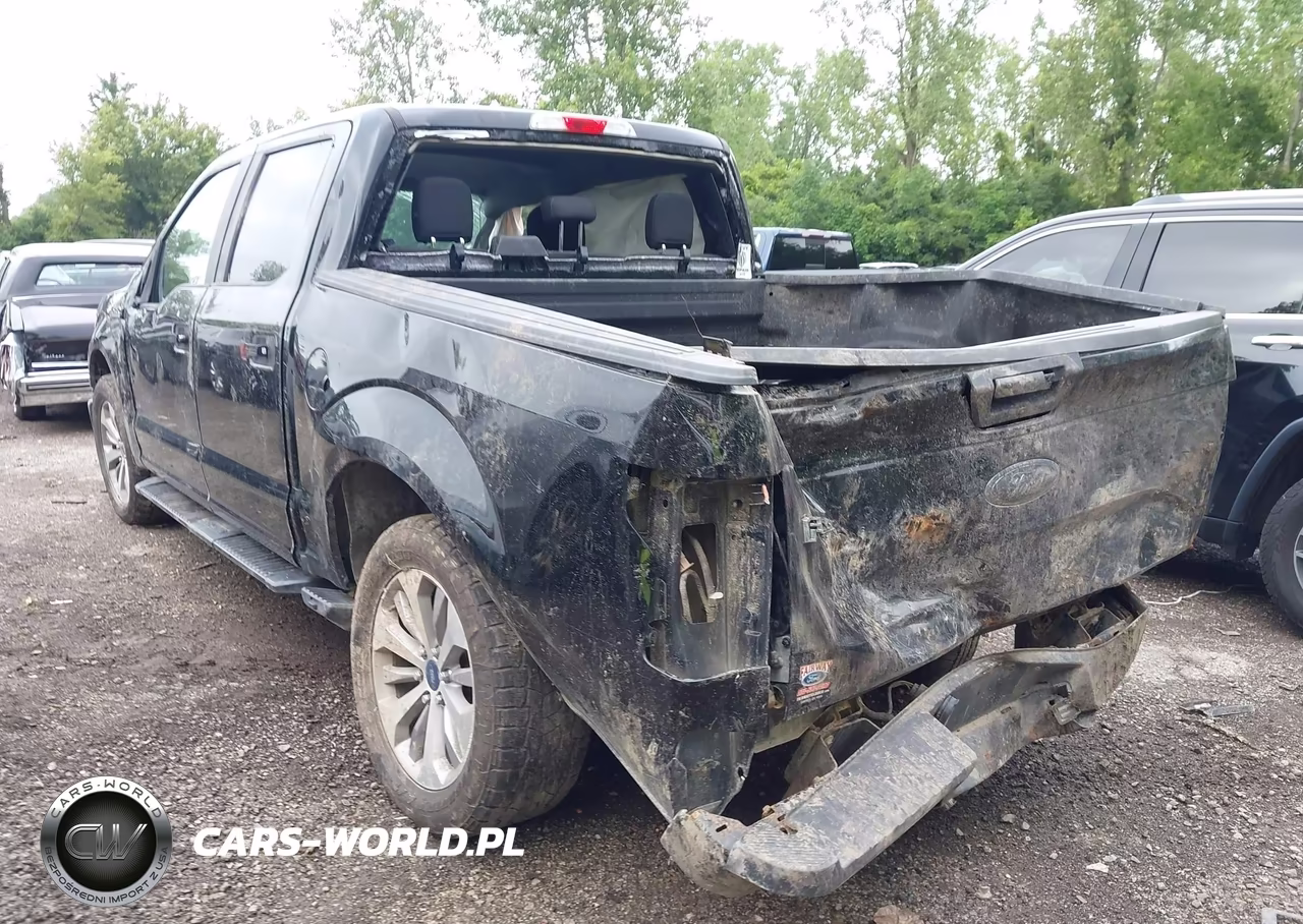 2017 Ford F-150 Xl VIN:1FTEW1EG7HKC95629 - 3