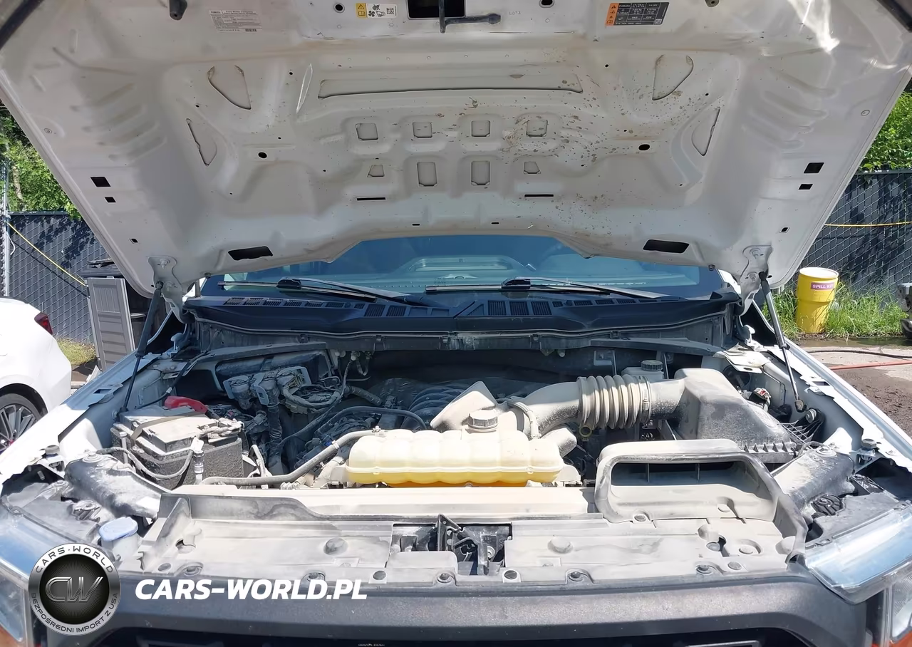 2021 Ford F-150 Xl VIN:1FTFW1E55MKE40776 - 10