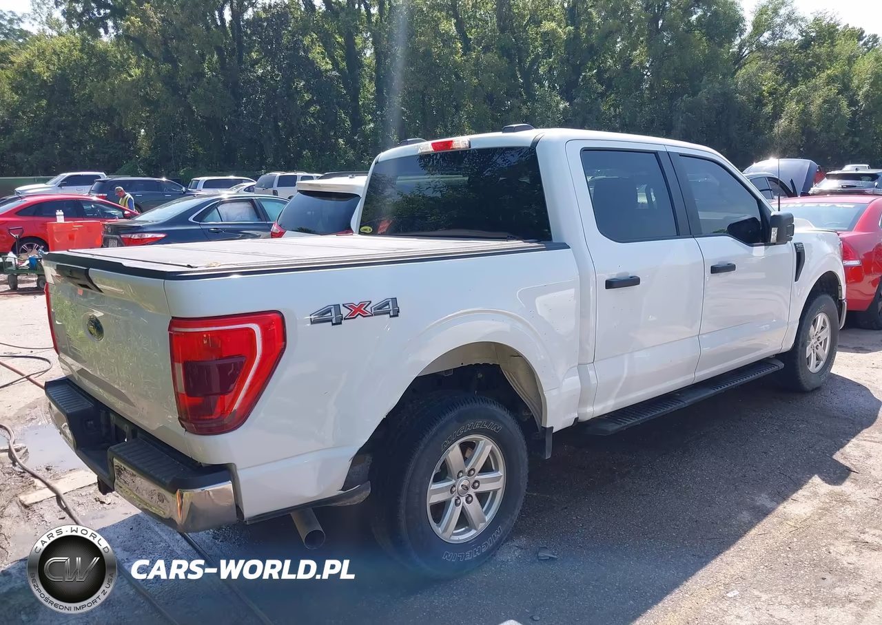 2021 Ford F-150 Xl VIN:1FTFW1E55MKE40776 - 4