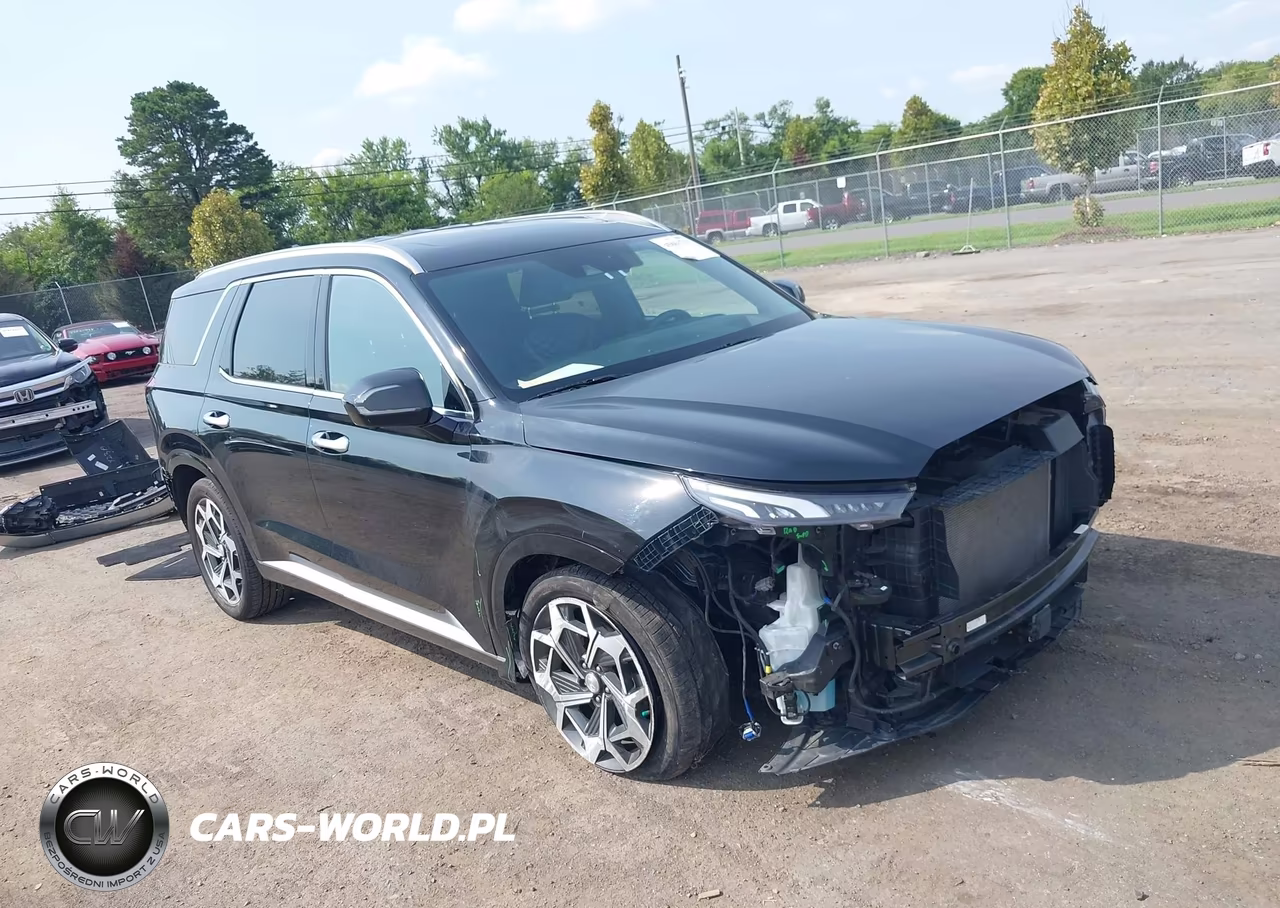 2021 Hyundai Palisade Calligraphy VIN:KM8R7DHE2MU202567 - 1