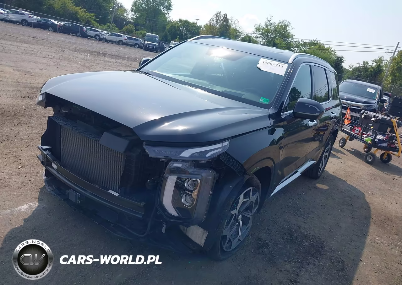 2021 Hyundai Palisade Calligraphy VIN:KM8R7DHE2MU202567 - 2