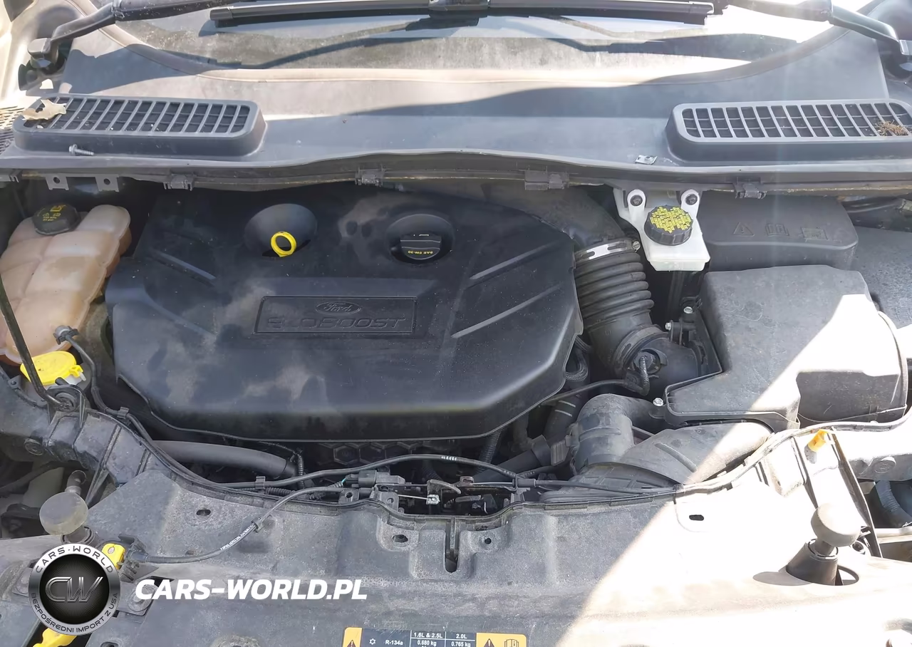 2016 Ford Escape Titanium VIN:1FMCU9J96GUC22494 - 10