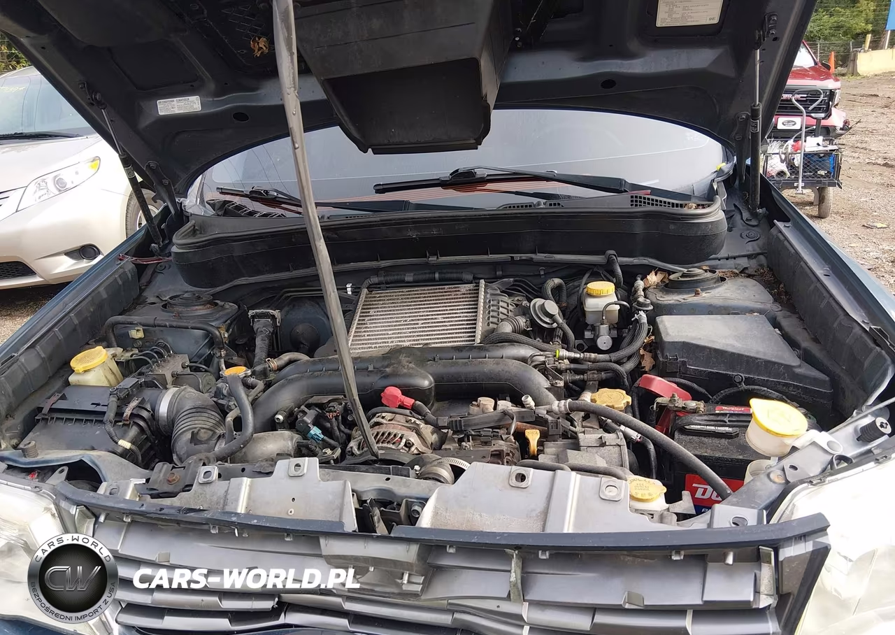 2010 Subaru Forester 2.5Xt Limited VIN:JF2SH6FC3AH704560 - 10
