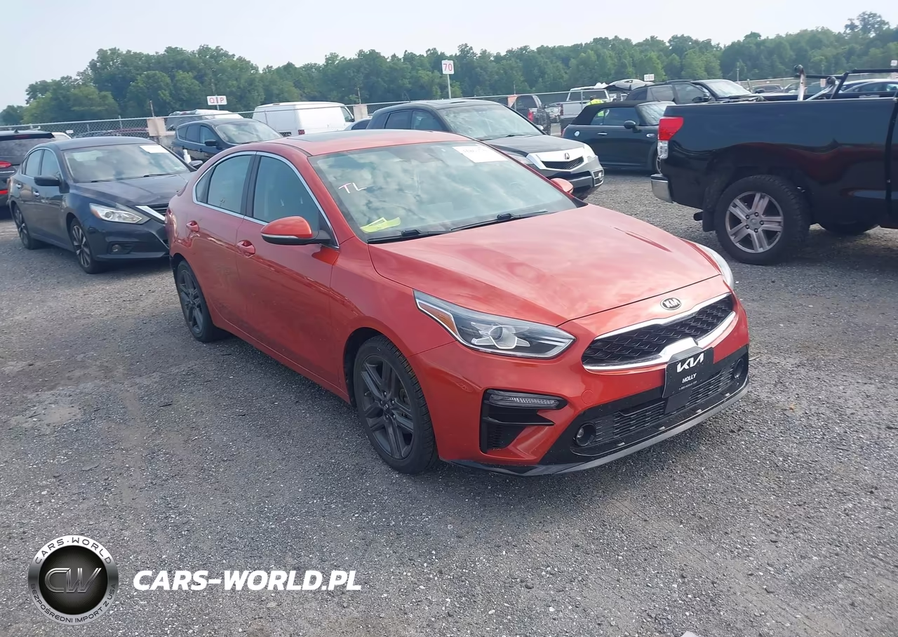 2019 Kia Forte Ex