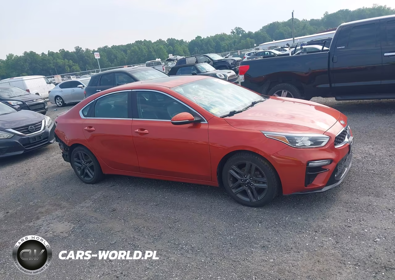 2019 Kia Forte Ex VIN:3KPF54AD6KE084873 - 13