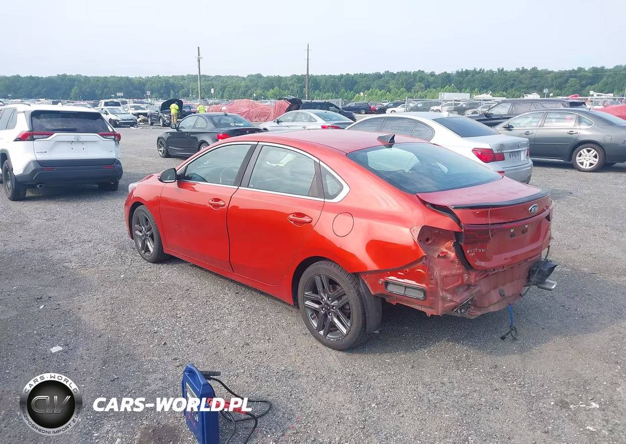 2019 Kia Forte Ex VIN:3KPF54AD6KE084873 - 3