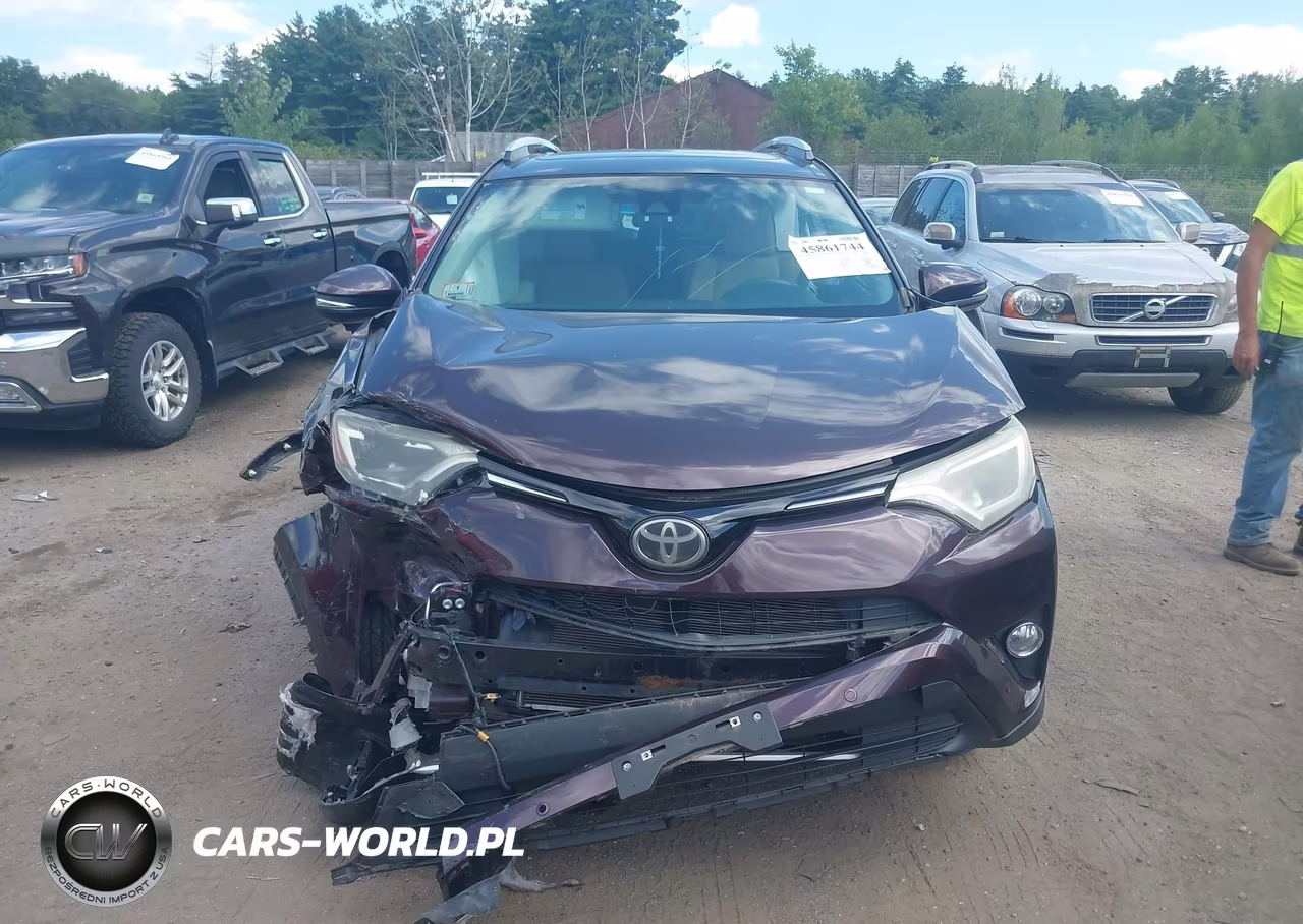 2016 Toyota Rav4 Xle VIN:2T3RFREV0GW415422 - 12